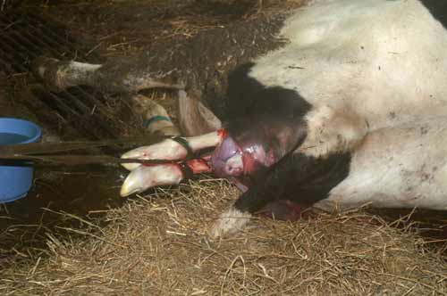 PICT3378.jpg