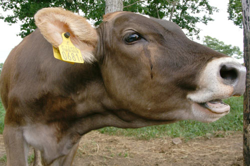 PICT6122.jpg